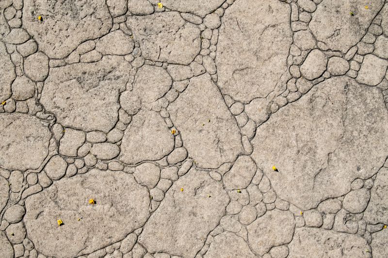 Decorative Concrete Repair in Greeley, CO