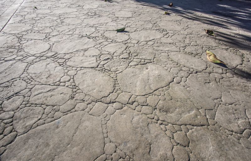 Textured Concrete Installation in Corpus Christi, TX